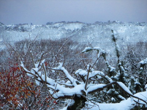 まだ大雪注意報・・雪は降ったり止んだりかな? まだ大雪注意報・・雪は降ったり止んだりかな?