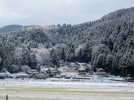 雪景色・・メタセコイヤ並木・・里山・・そんな天候になって・・ 雪景色・・メタセコイヤ並木・・里山・・そんな天候になって・・