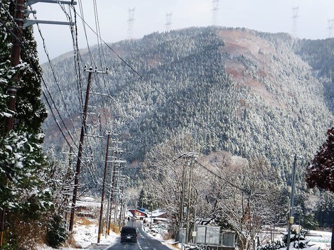 雪景色・・メタセコイヤ並木・・里山・・そんな天候になって・・ 雪景色・・メタセコイヤ並木・・里山・・そんな天候になって・・