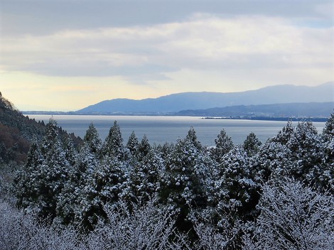 雪景色・・メタセコイヤ並木・・里山・・そんな天候になって・・ 雪景色・・メタセコイヤ並木・・里山・・そんな天候になって・・