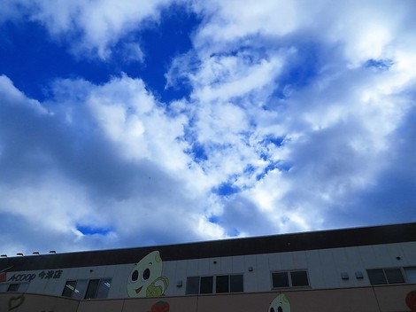 冬木立・・土曜日 冬木立・・土曜日