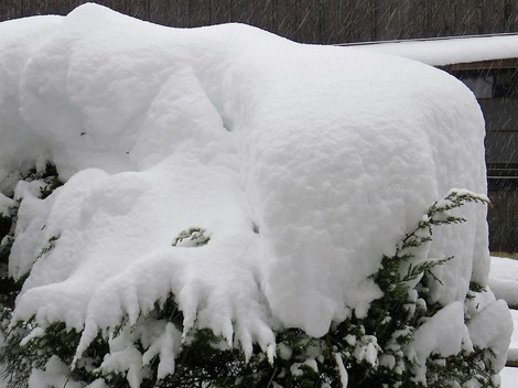 氷点下ばかりで・・一日小雪が・・金曜日