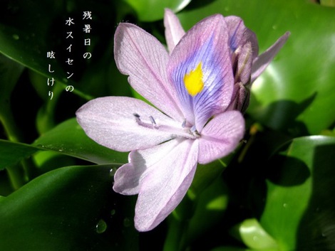 小雨でいろいろ・・一日 小雨でいろいろ・・一日