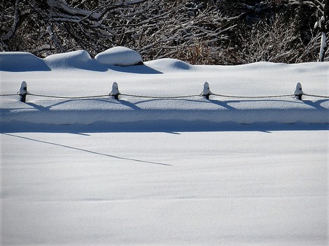 今日も雪の景色ばかりですが・・気温2度だった! 今日も雪の景色ばかりですが・・気温2度だった!