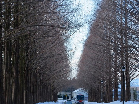 早朝から夕方まで青空快晴・・でも大雪注意報と降雪が・・ 早朝から夕方まで青空快晴・・でも大雪注意報と降雪が・・