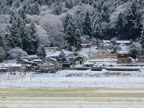 雪景色・・メタセコイヤ並木・・里山・・そんな天候になって・・ 雪景色・・メタセコイヤ並木・・里山・・そんな天候になって・・