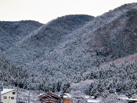 雪景色・・メタセコイヤ並木・・里山・・そんな天候になって・・ 雪景色・・メタセコイヤ並木・・里山・・そんな天候になって・・