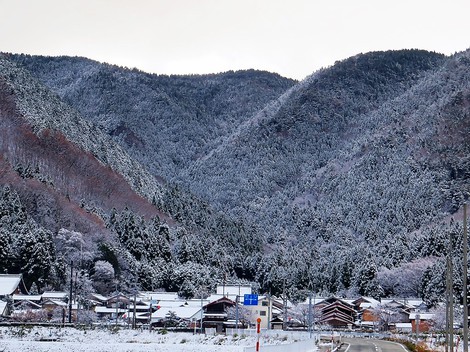 雪景色・・メタセコイヤ並木・・里山・・そんな天候になって・・ 雪景色・・メタセコイヤ並木・・里山・・そんな天候になって・・