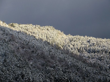 今日も雪の景色ばかりですが・・気温2度だった! 今日も雪の景色ばかりですが・・気温2度だった!