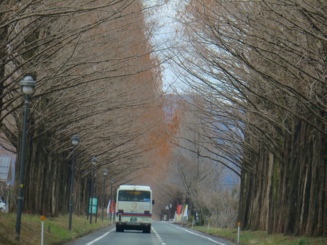 暑さ寒さも・・ 暑さ寒さも・・