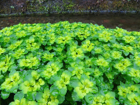 暑さ寒さも・・ 暑さ寒さも・・