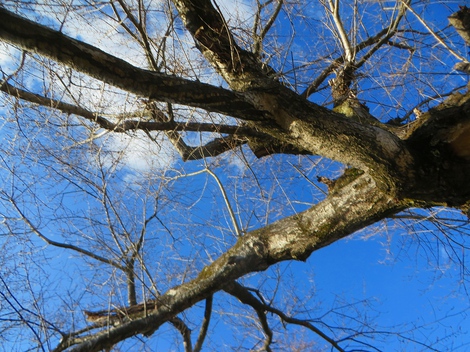 暑さ寒さも・・ 暑さ寒さも・・