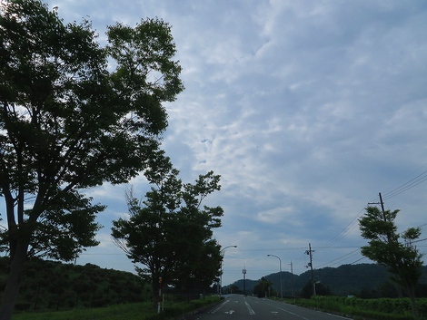 日曜日・・フットワーク・・ダメでした。 日曜日・・フットワーク・・ダメでした。