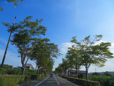 日曜日・・フットワーク・・ダメでした。 日曜日・・フットワーク・・ダメでした。
