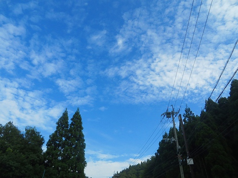 今日の風景・・高島市内・・金曜日 今日の風景・・高島市内・・金曜日