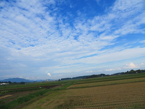 今日の風景・・高島市内・・金曜日 今日の風景・・高島市内・・金曜日