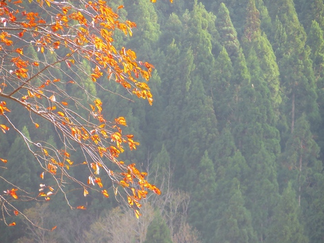 今日も秋風景の中で・・木曜日