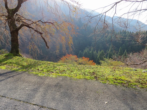 今日も秋風景の中で・・木曜日