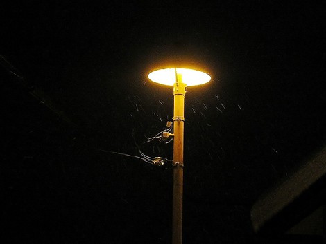 藪入り~~まだ雪~~まだ大雪注意報も 藪入り~~まだ雪~~まだ大雪注意報も