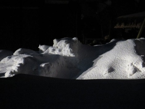 藪入り~~まだ雪~~まだ大雪注意報も 藪入り~~まだ雪~~まだ大雪注意報も
