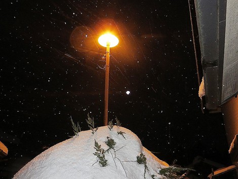 藪入り~~まだ雪~~まだ大雪注意報も 藪入り~~まだ雪~~まだ大雪注意報も