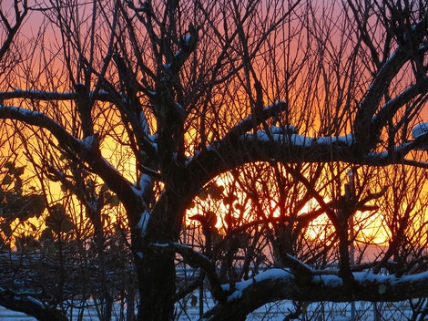 今日も雪の景色ばかりですが・・気温2度だった! 今日も雪の景色ばかりですが・・気温2度だった!