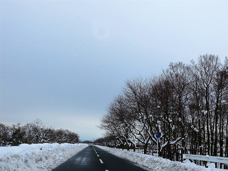 今日も低温で日曜日・・高島市内広範囲で積雪・・ 今日も低温で日曜日・・高島市内広範囲で積雪・・