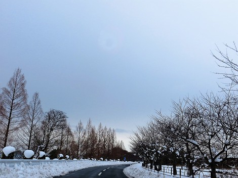 今日も低温で日曜日・・高島市内広範囲で積雪・・ 今日も低温で日曜日・・高島市内広範囲で積雪・・