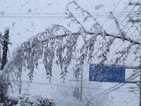 大雪警報・・更新~~今夜はどうだろう?雪 大雪警報・・更新~~今夜はどうだろう?雪