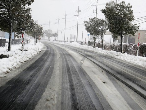 大雪警報・・更新~~今夜はどうだろう?雪 大雪警報・・更新~~今夜はどうだろう?雪