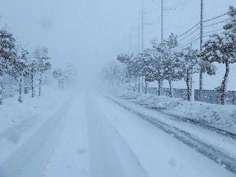 大雪警報・・更新~~今夜はどうだろう?雪 大雪警報・・更新~~今夜はどうだろう?雪