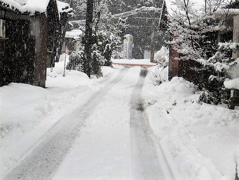 大雪警報・・更新~~今夜はどうだろう?雪 大雪警報・・更新~~今夜はどうだろう?雪