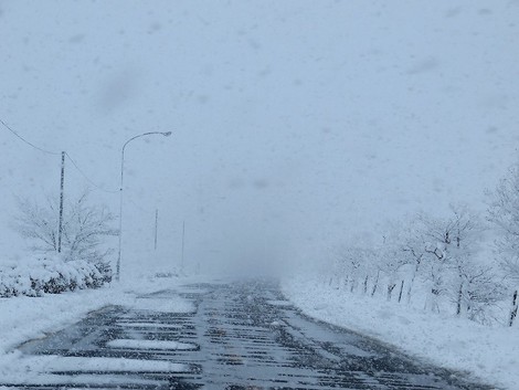 大雪警報・・更新~~今夜はどうだろう?雪 大雪警報・・更新~~今夜はどうだろう?雪