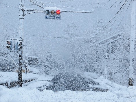 大雪警報・・更新~~今夜はどうだろう?雪 大雪警報・・更新~~今夜はどうだろう?雪