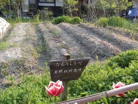 「遊楽石窯 かものしらべ」