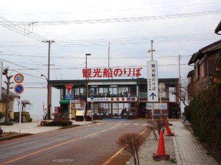 海津大崎・・今津港・・山辺のエドヒガンは開花