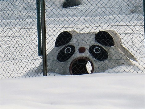 高島市に暴風雪警報~~雪は天からの・・・ 高島市に暴風雪警報~~雪は天からの・・・
