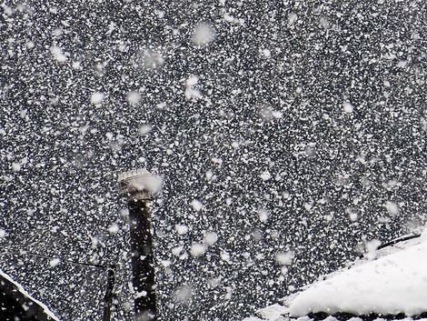 高島市に暴風雪警報~~雪は天からの・・・ 高島市に暴風雪警報~~雪は天からの・・・
