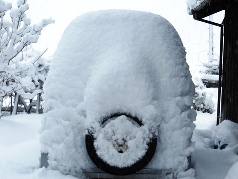 積雪50センチ弱~~正月二日目 積雪50センチ弱~~正月二日目