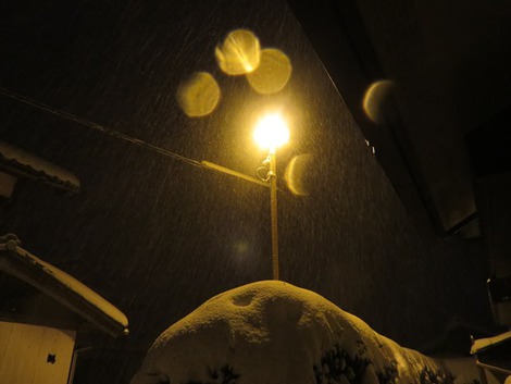 積雪50センチ弱~~正月二日目 積雪50センチ弱~~正月二日目