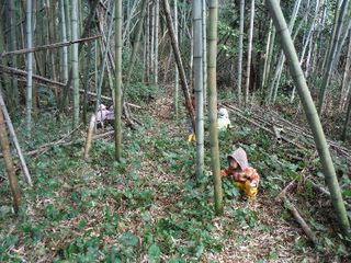 レポート)11月の定期作業&冒険遊び場トライアル