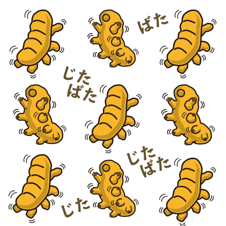 クマムシたち クマムシたち