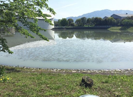 ひし ひし