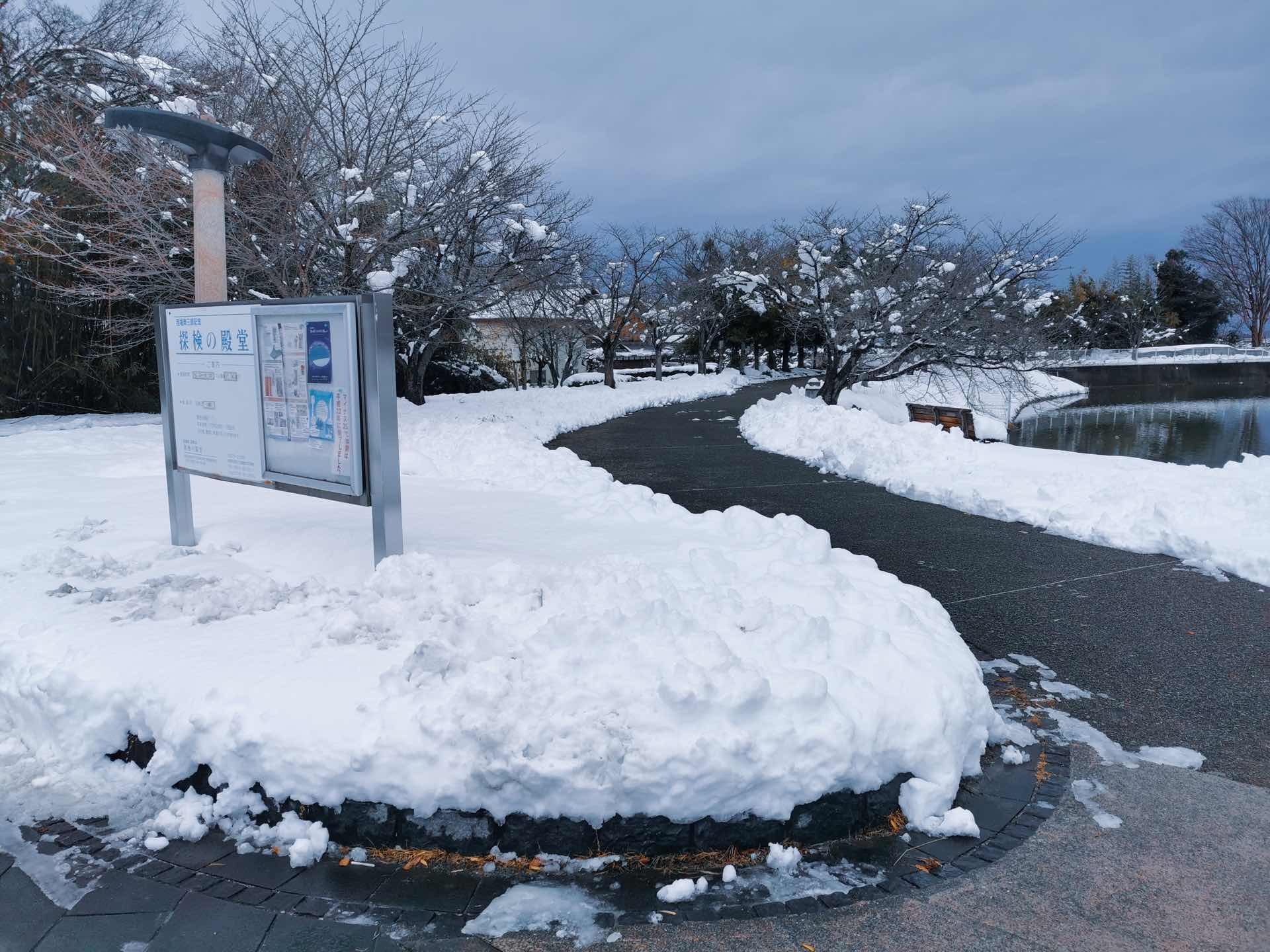 雪かきで開かれた道