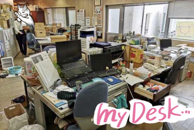 模様替えBefore&After 探検の殿堂の事務所