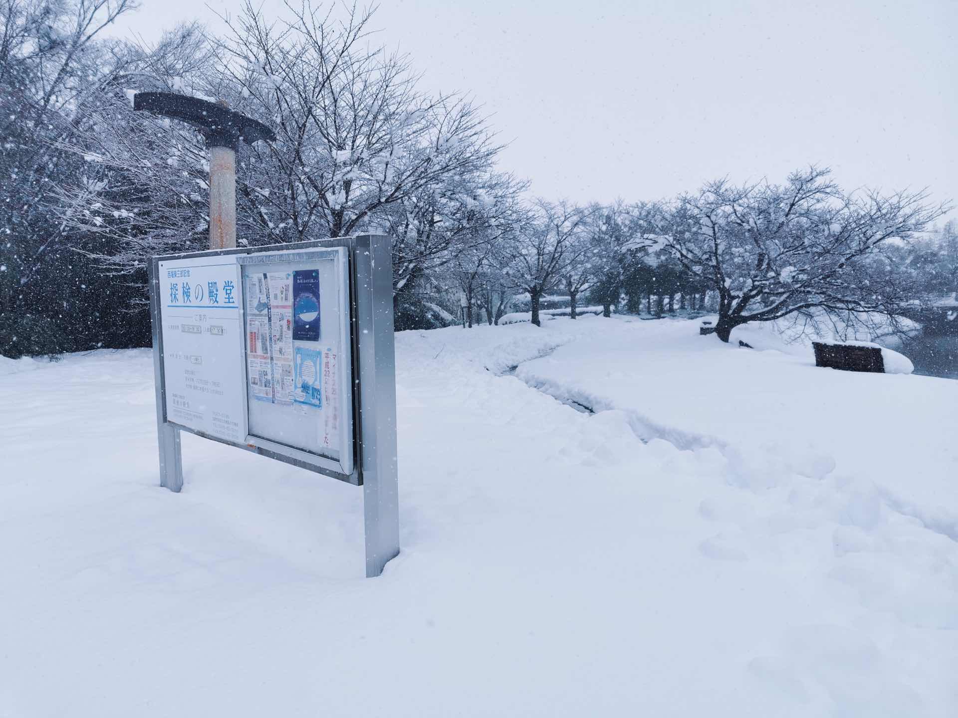 前日の様子 前日の様子