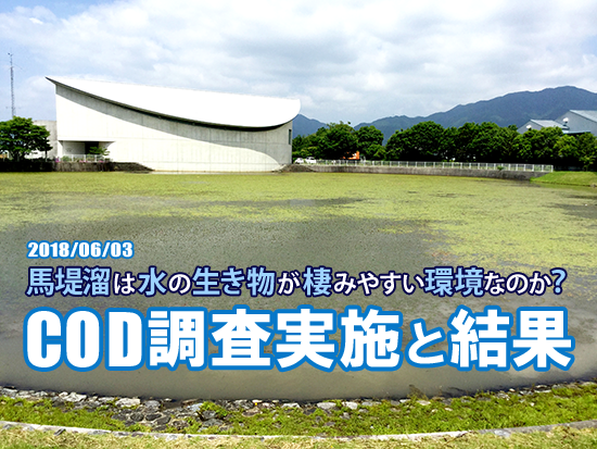 馬堤溜調査00 馬堤溜調査00