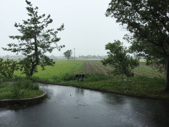 台風 台風
