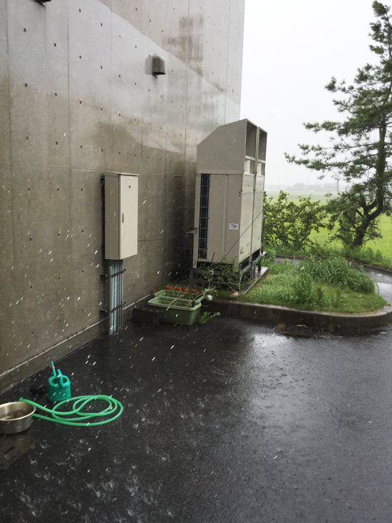 台風 台風
