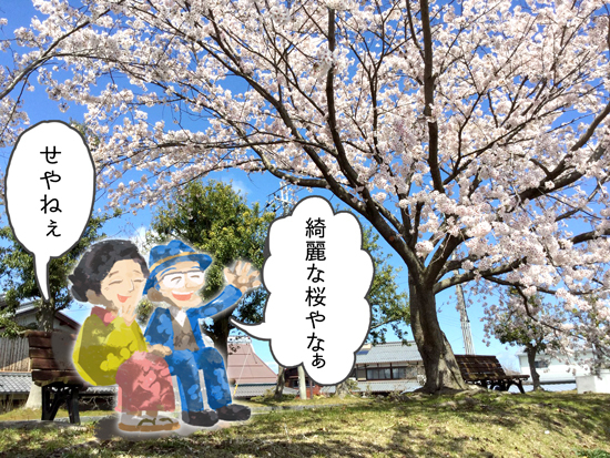 桜 桜